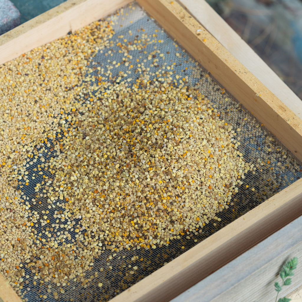 Nectar Reserve Pollen – Nature’s Multivitamin