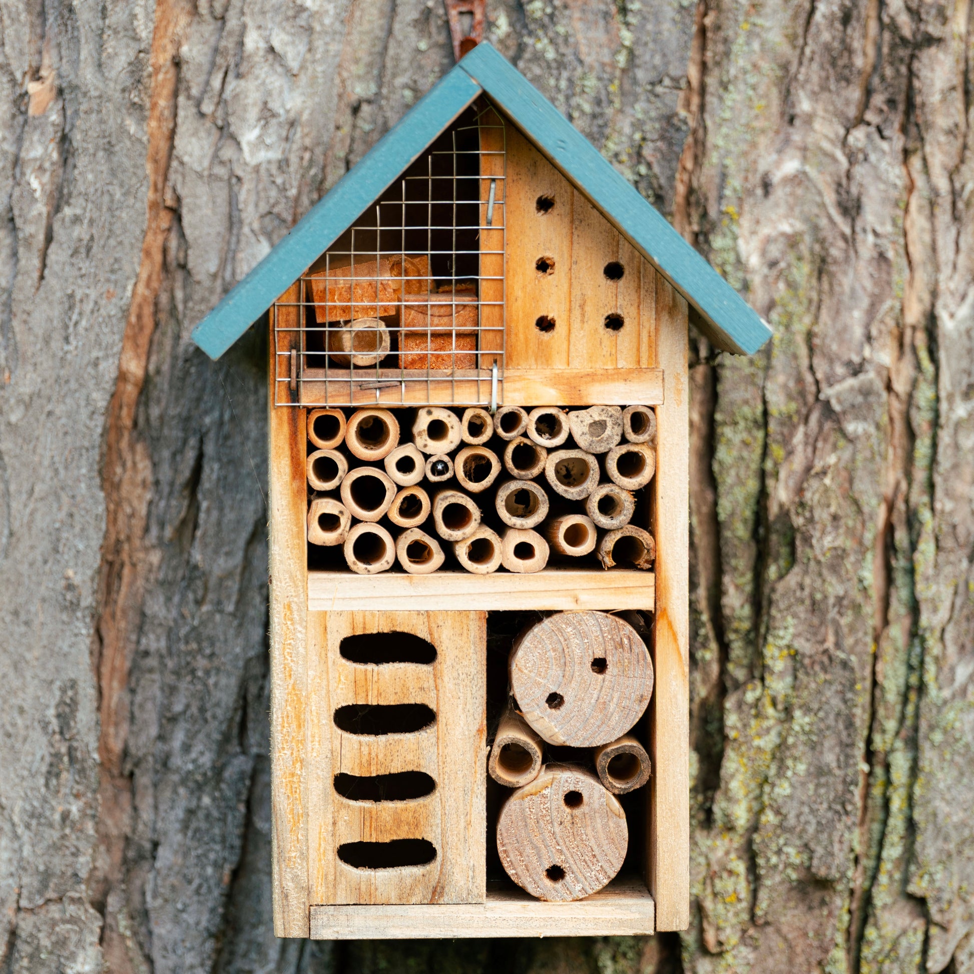 Nectar Reserve Bee Hotel
